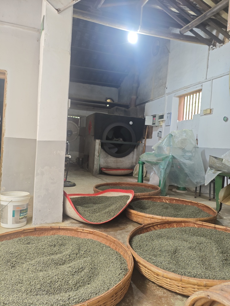 客家炒香绿茶