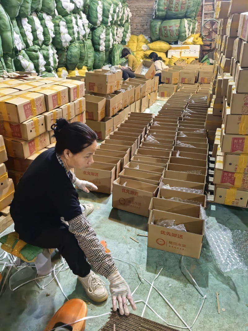 红心木瓜1件代发