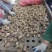 河南毛蒜大混级大量现货供应电商市场加工厂