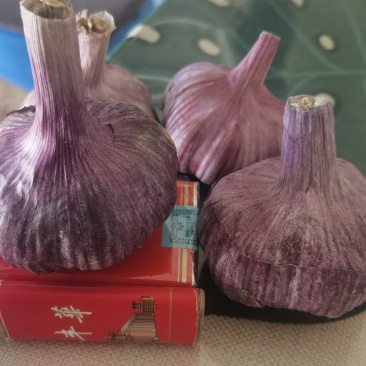 云南紫皮大蒜长期有货，保质保量