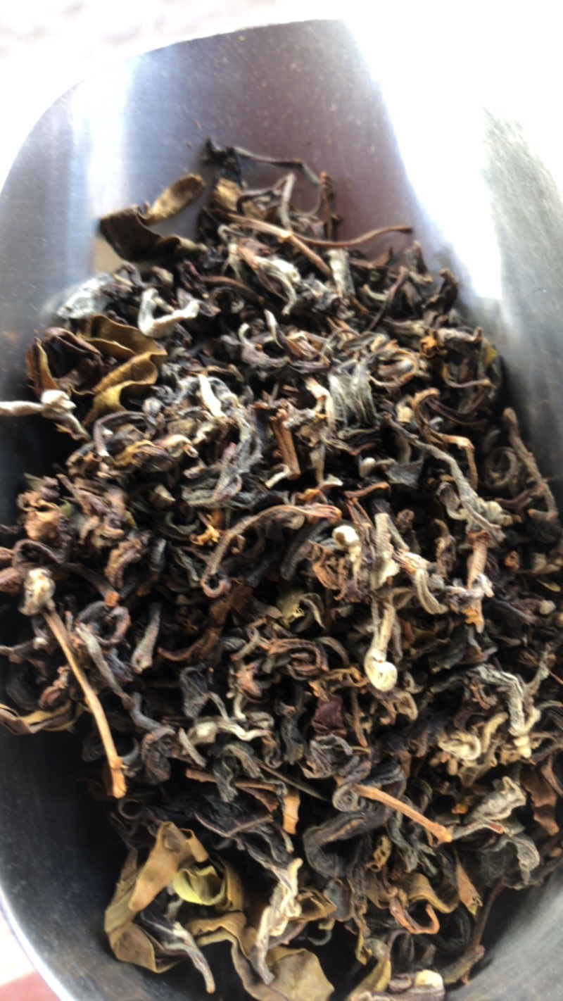 老鹰茶