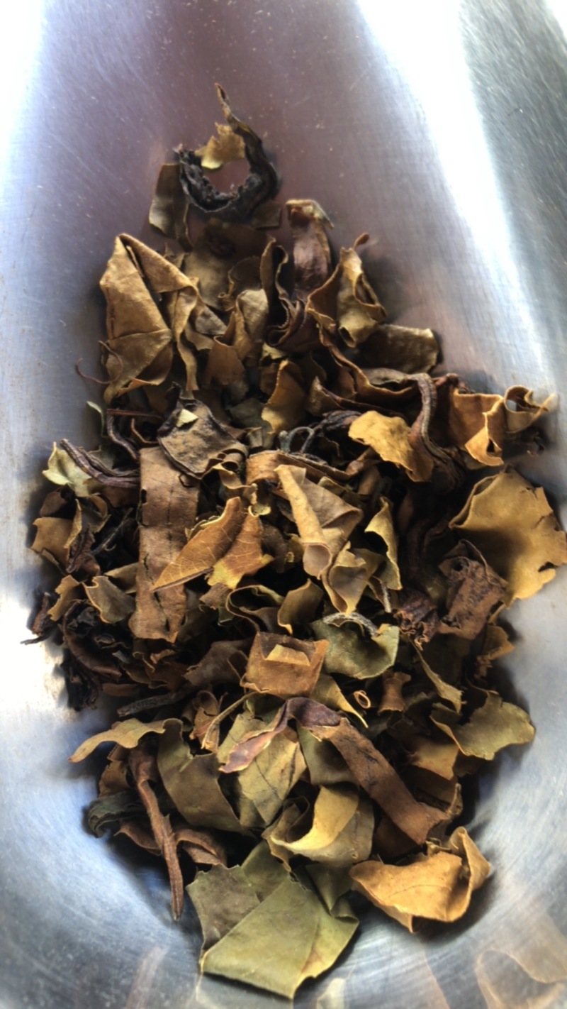 老鹰茶