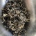 老鹰茶