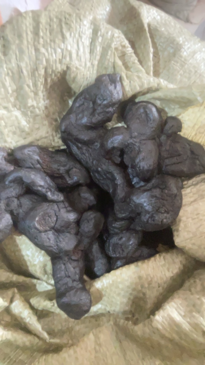 野生精品九蒸九晒黄精果即食黄精野外生长