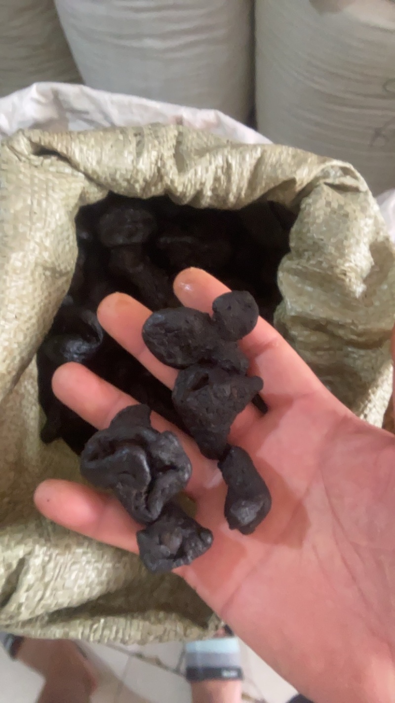 野生精品九蒸九晒黄精果即食黄精野外生长