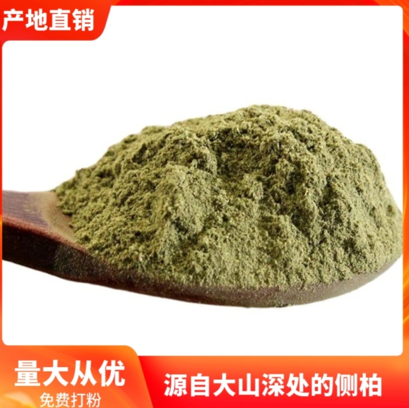 侧柏叶粉