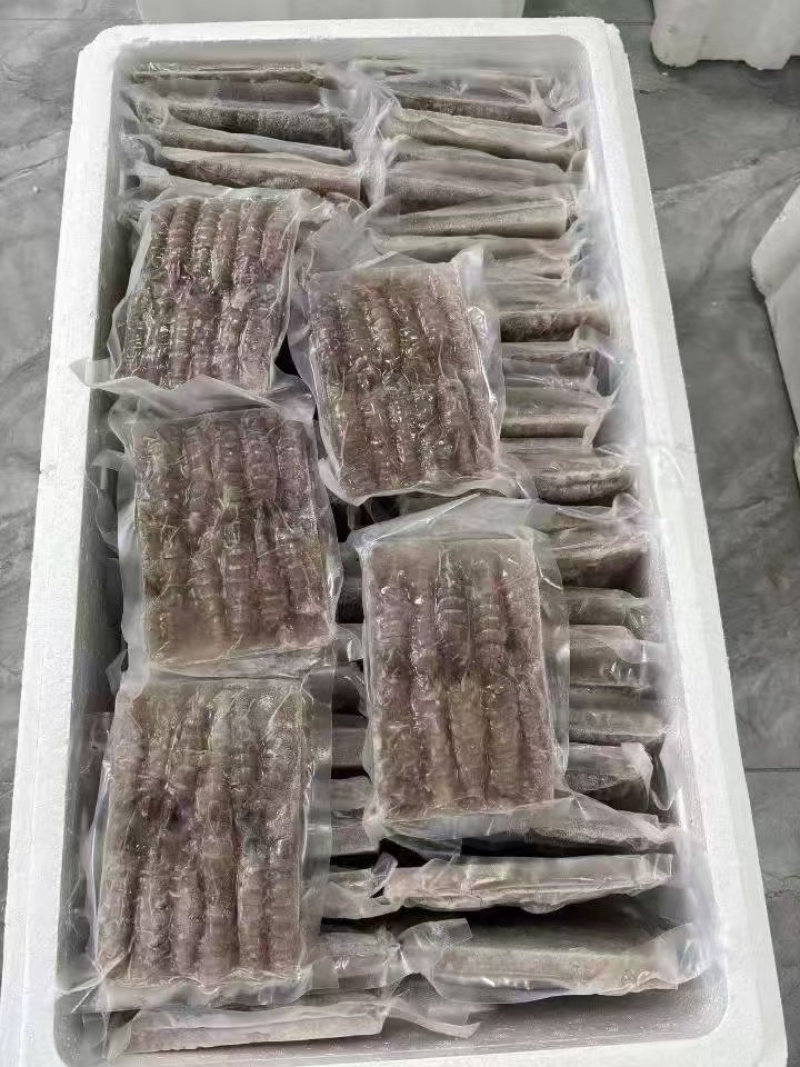 皮皮虾，生冻皮皮虾，虾爬子，单冻虾爬子自助餐手选
