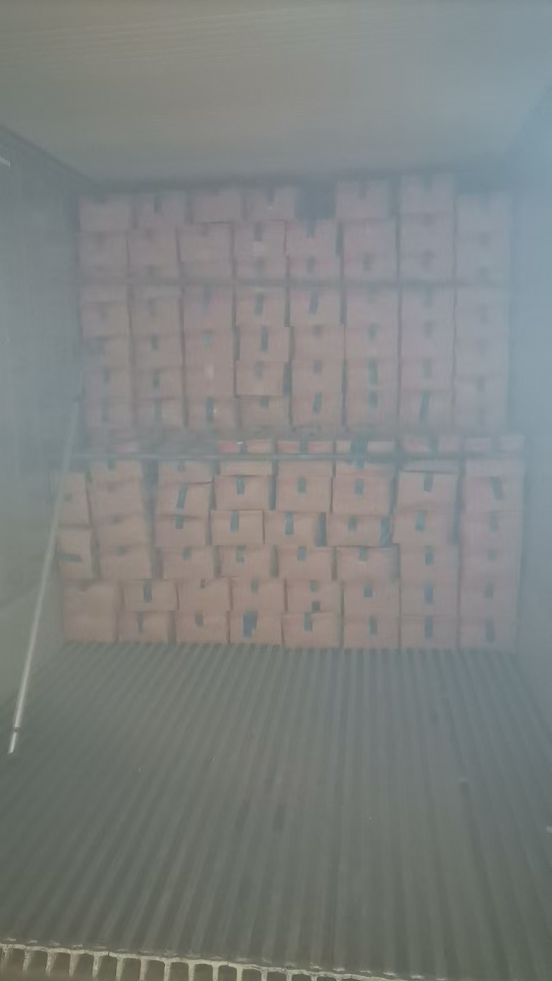 皮皮虾，生冻皮皮虾，虾爬子，单冻虾爬子自助餐手选