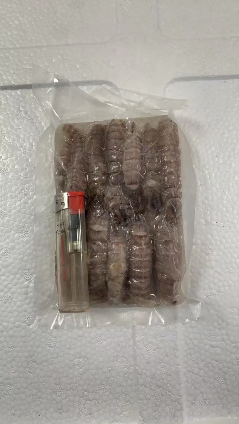皮皮虾，生冻皮皮虾，虾爬子，单冻虾爬子自助餐手选