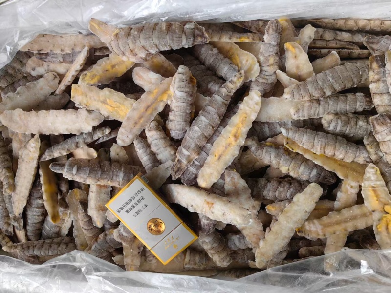 皮皮虾，生冻皮皮虾，虾爬子，单冻虾爬子自助餐手选