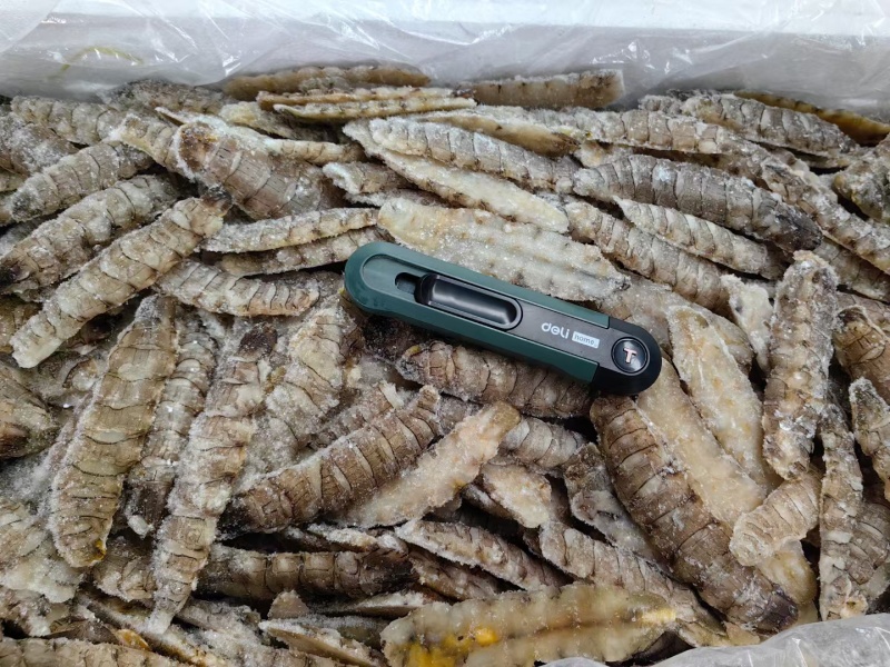 皮皮虾，生冻皮皮虾，虾爬子，单冻虾爬子自助餐手选
