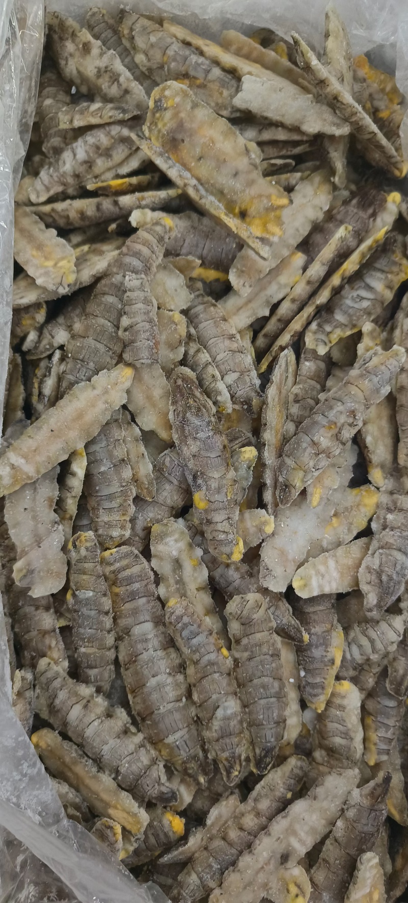 皮皮虾，生冻皮皮虾，虾爬子，单冻虾爬子自助餐手选