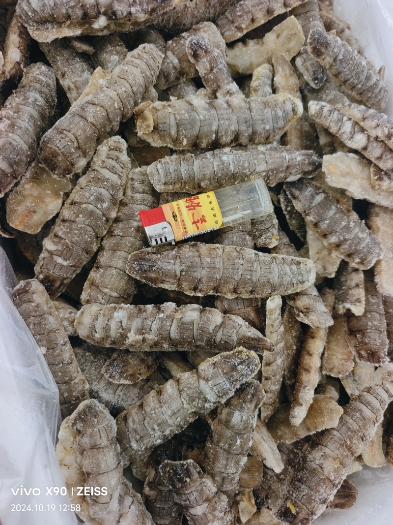 皮皮虾，生冻皮皮虾，虾爬子，单冻虾爬子自助餐手选