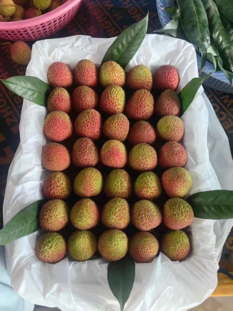 妃子笑荔枝