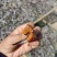 银鱼干，满油满籽，团购，电商鱼干，银鱼干，小鱼干