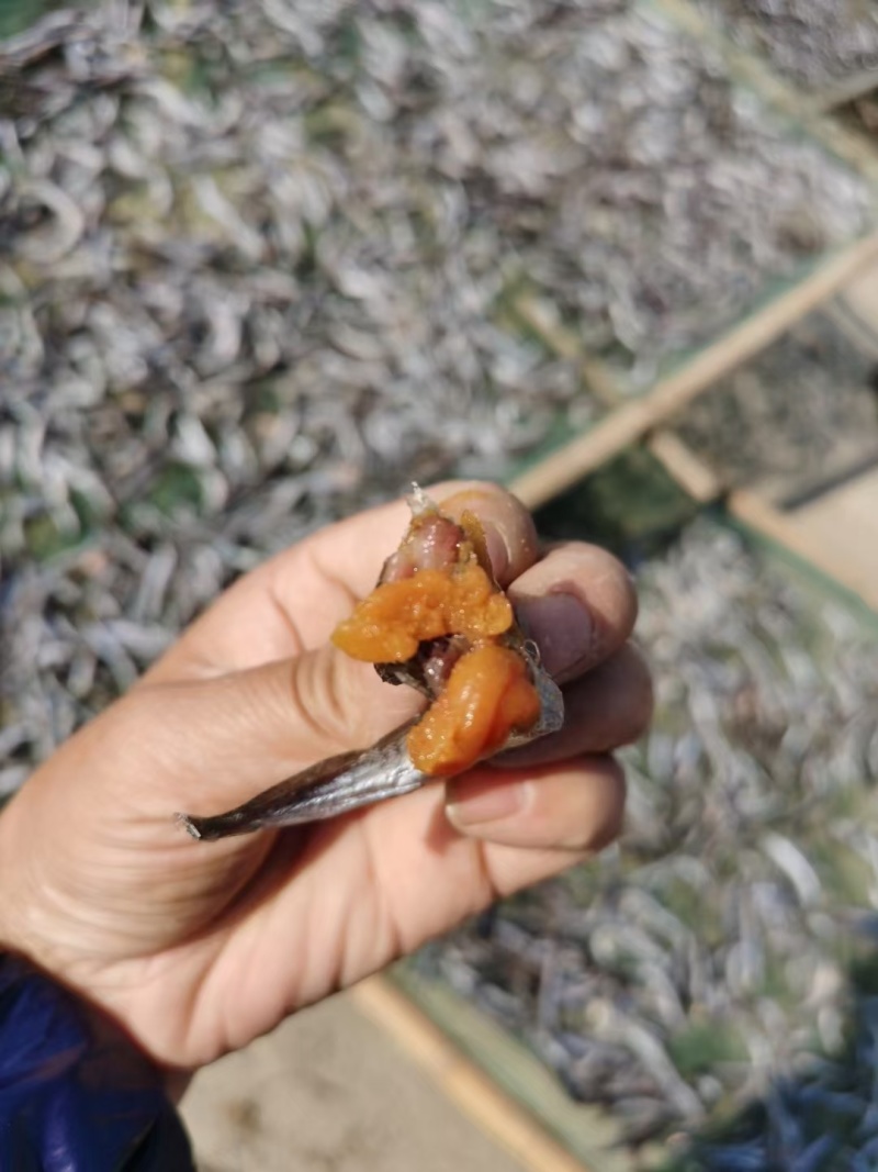 银鱼干，满油满籽，团购，电商鱼干，银鱼干，小鱼干