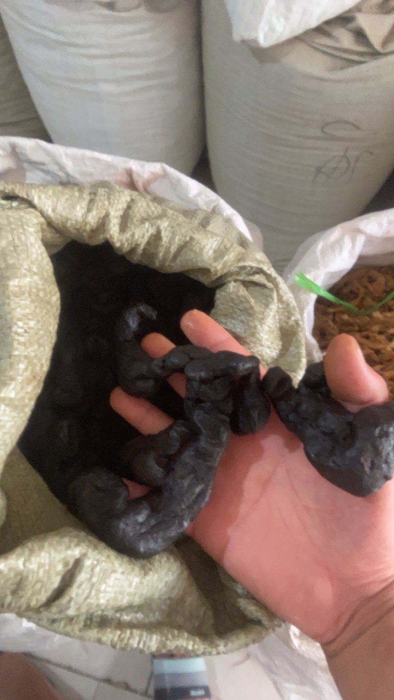 野生精品九蒸九晒黄精果即食黄精野外生长