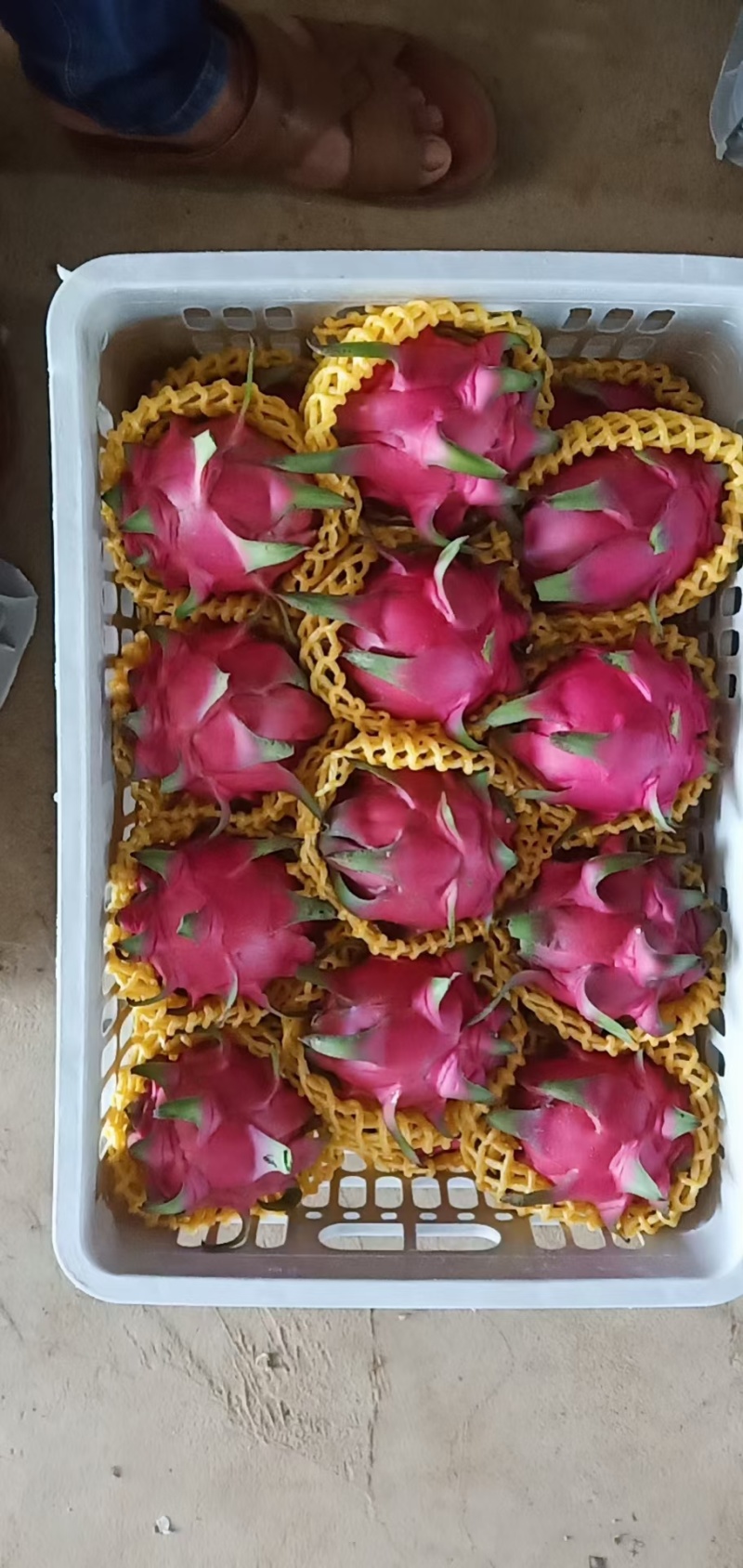 火龙巢代办，诚信经营，一次合作终身朋友