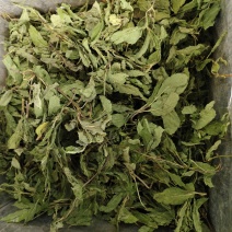 薄荷叶精选新货薄荷叶中药材全薄荷段天然无硫散装批发