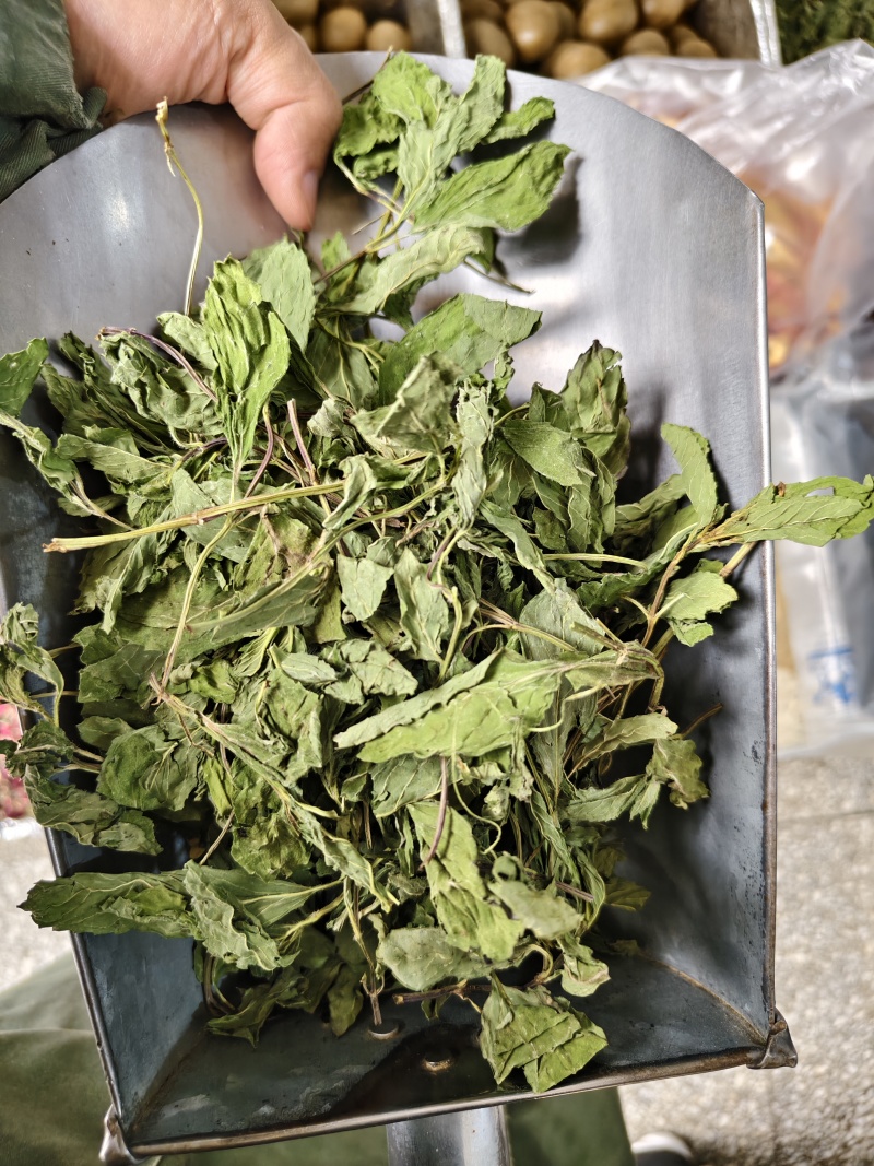 薄荷叶精选新货薄荷叶中药材全薄荷段天然无硫散装批发
