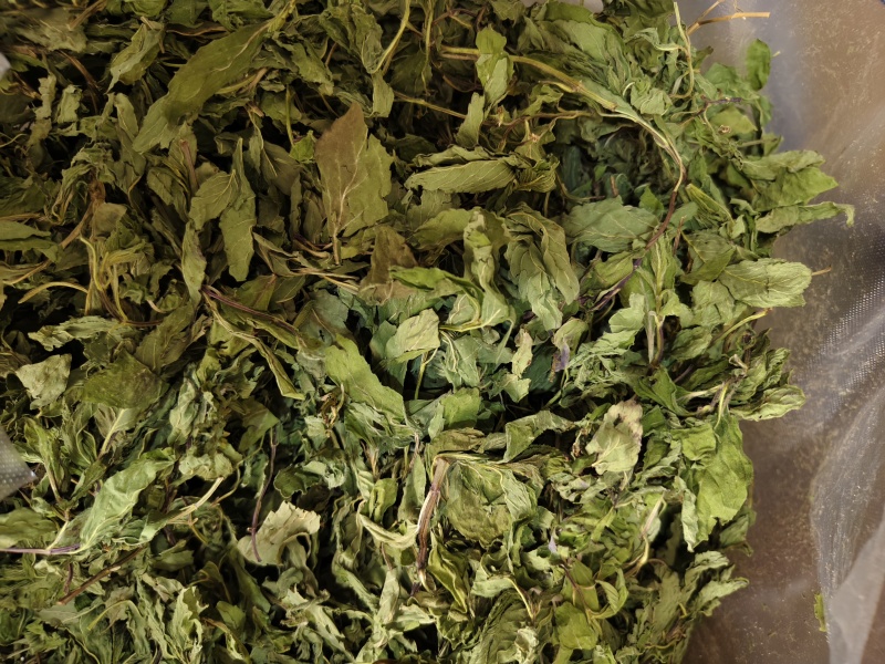薄荷叶精选新货薄荷叶中药材全薄荷段天然无硫散装批发