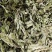 薄荷叶精选新货薄荷叶中药材全薄荷段天然无硫散装批发