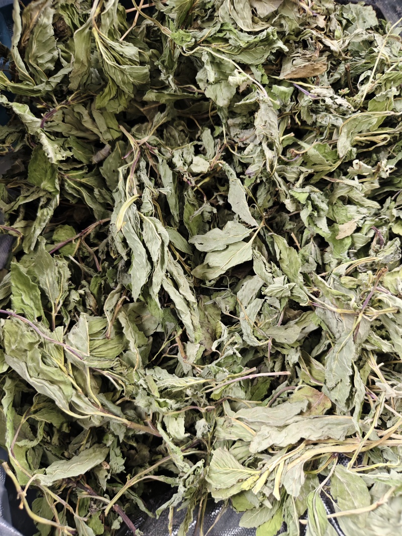 薄荷叶精选新货薄荷叶中药材全薄荷段天然无硫散装批发