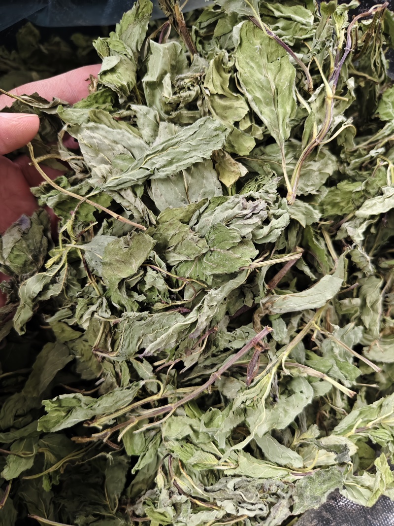 薄荷叶精选新货薄荷叶中药材全薄荷段天然无硫散装批发
