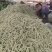 河南芸豆，白不老，品质好，视频看货，线上保障交易