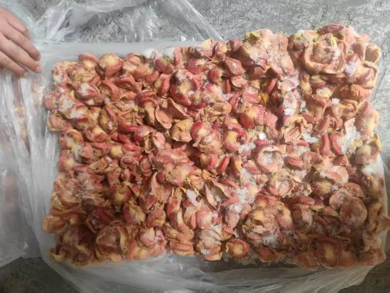 老母鸡胗净胗胃胗