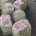 河南芸豆，白不老，品质好，视频看货，线上保障交易