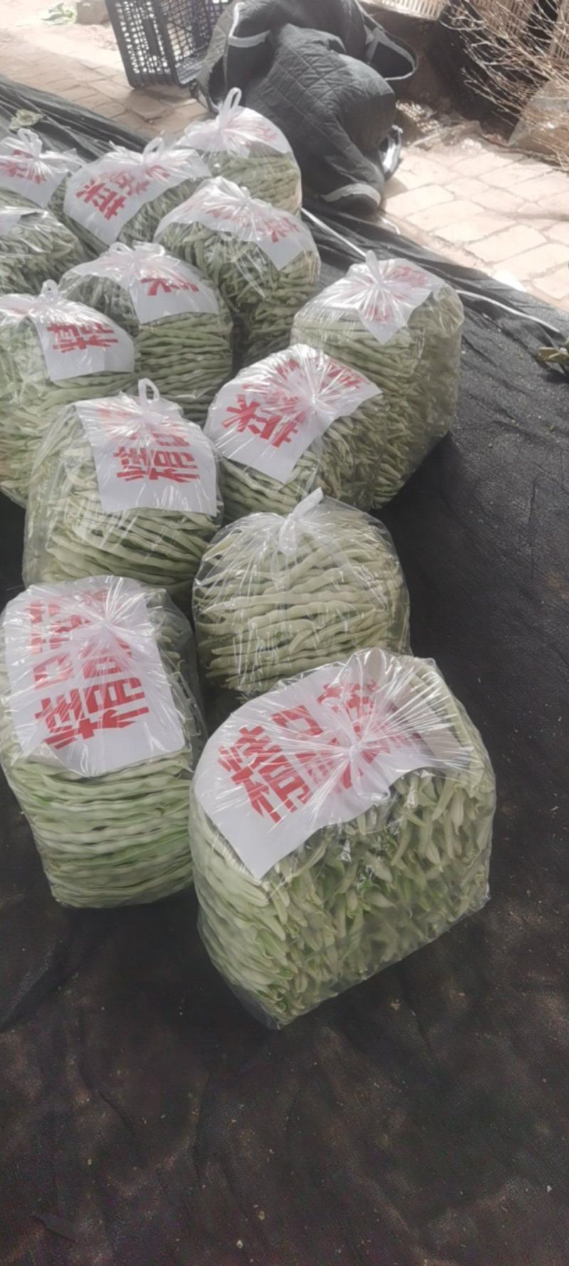 河南芸豆，白不老，品质好，视频看货，线上保障交易