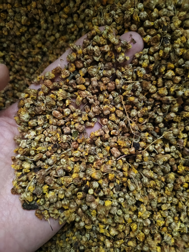 野菊花正宗大别山野生无硫菊花正品特级干花菊米散装批发