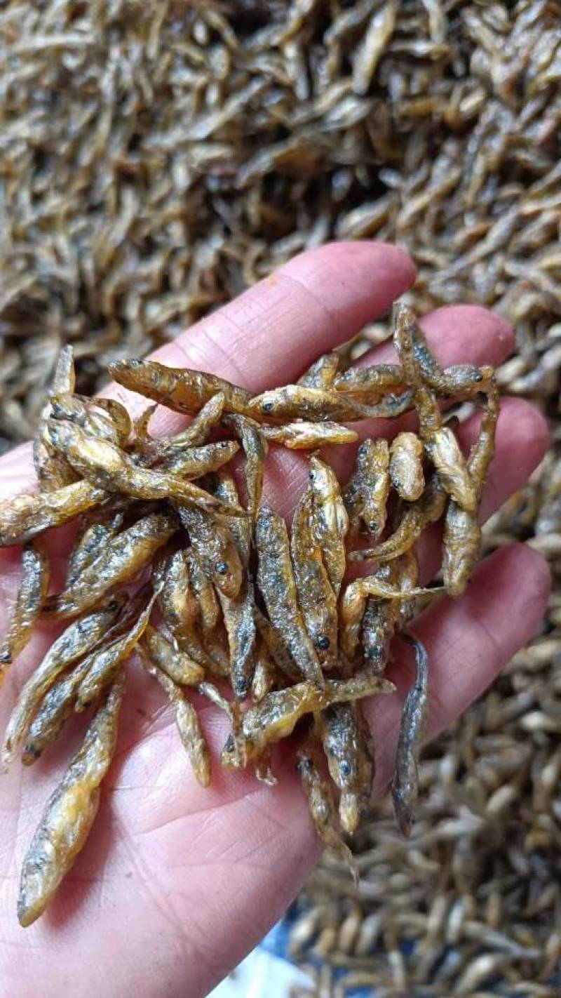 油炸小黄鱼，十成干，质量好，价格实惠