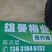 咸梅