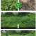 88.8%草甘膦铵除草剂高含量杂草除草剂斩草除根荒地果园