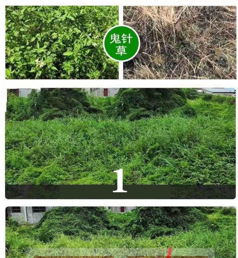 88.8%草甘膦铵除草剂高含量杂草除草剂斩草除根荒地果园