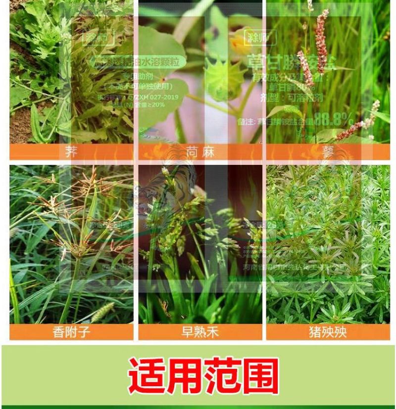 88.8%草甘膦铵除草剂高含量杂草除草剂斩草除根荒地果园