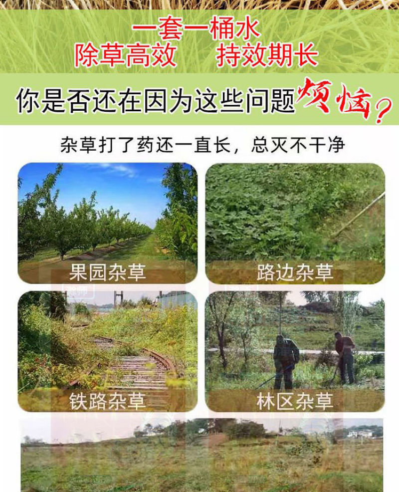 88.8%草甘膦铵除草剂高含量杂草除草剂斩草除根荒地果园