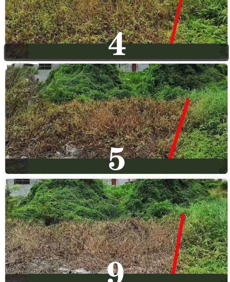 88.8%草甘膦铵除草剂高含量杂草除草剂斩草除根荒地果园