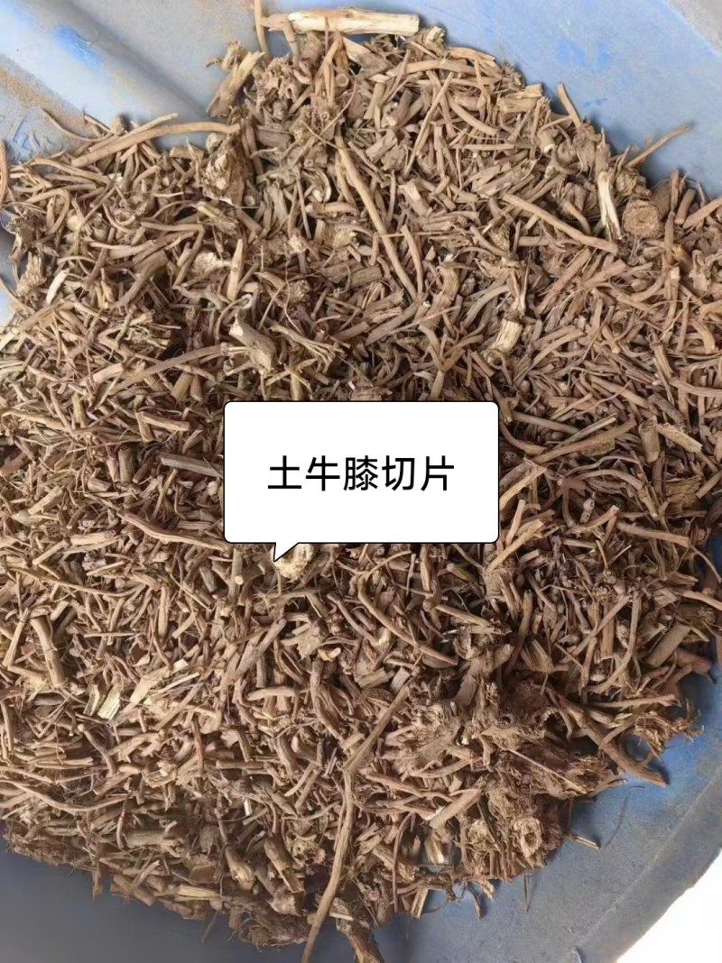 土牛膝