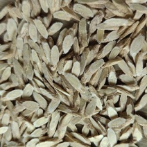 黄芪中药材黄芪4-6小片正品无硫甘肃黄芪散装批发