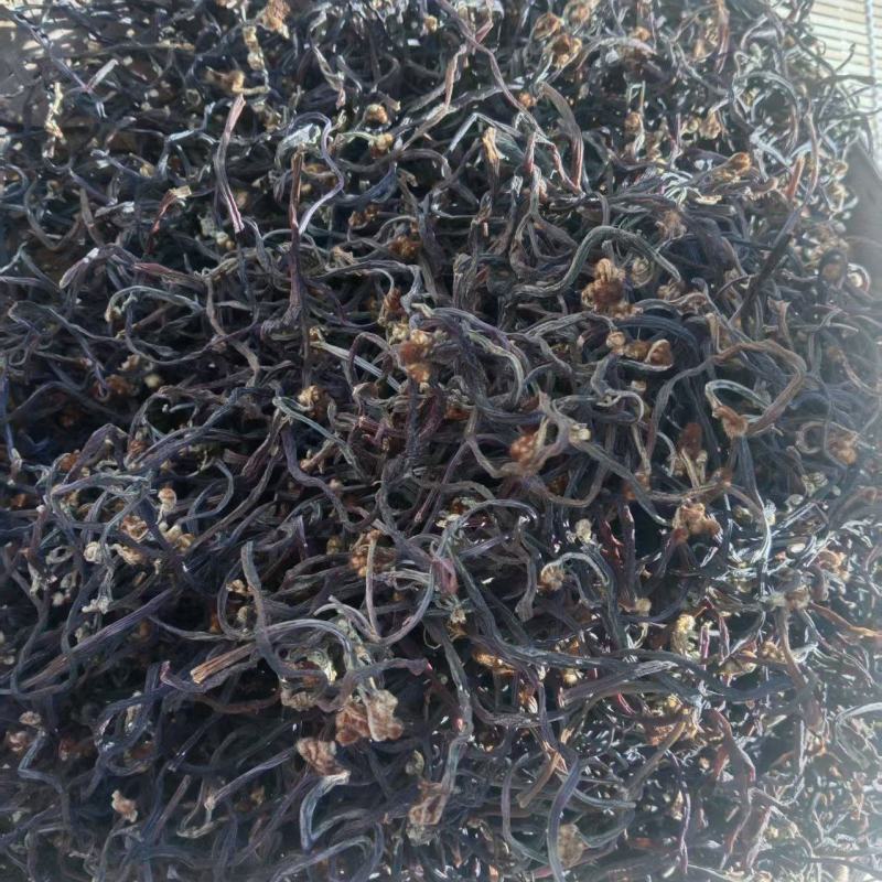 云南农家晾晒纯野生蕨菜干，
