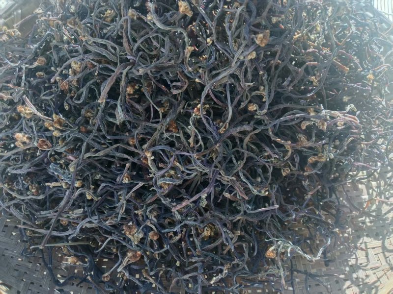 云南农家晾晒纯野生蕨菜干，