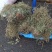 贵州深山野生车前草当季新货
