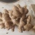 精品。市场。电商。都有。仔姜需要的可以联系我。质量保证