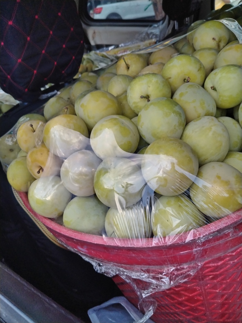 青脆李大量有货，对接全国市场，电商平台欢迎合作可以视频看货