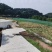 低价转让青蛙养殖基地有4亩多水池可做种植养殖！