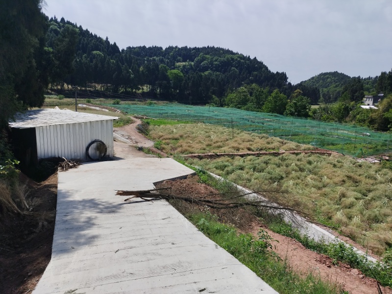 低价转让青蛙养殖基地有4亩多水池可做种植养殖！