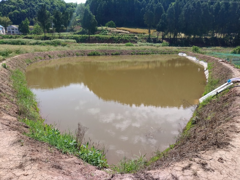 低价转让青蛙养殖基地有4亩多水池可做种植养殖！